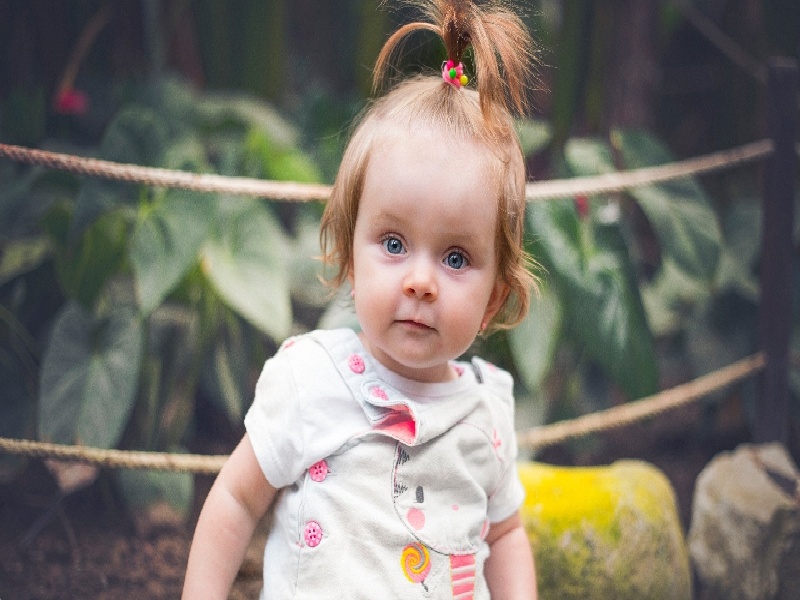 健康试管胚胎数据,试管成了15个